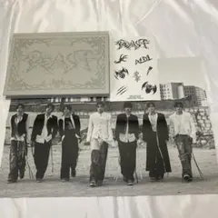 【ALD1】Fragile Beast ver. アルバム封入無し