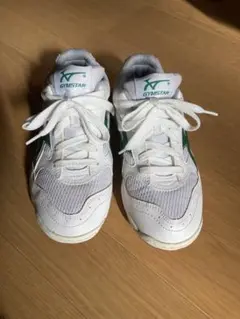 体育館シューズ サイズ23.0cm GYMSTAR ホワイト/グリーン