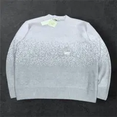 JW ANDERSON UNIQLO スフレヤーン グラデーション 니트
