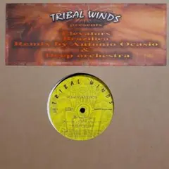 ELEVATORS 『BRAZILICA』 TRIBAL WINDS