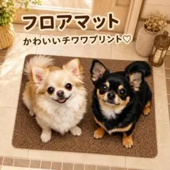 フロアマット チワワ プリント 玄関マット インテリア 40✕60 見上げ