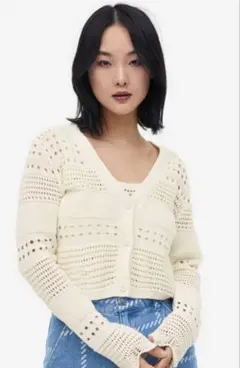 H&M 透かし編ニットカーディガン　(L) ショート丈　GU・ユニクロ好きにも