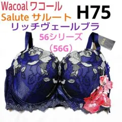 ワコール★サルート★リッチヴェールブラ★43シリーズ／43G★H75 ネイビー 2026年最新】リッチヴェールブラの人気アイテム - メルカリ