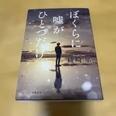 値下げ☆ぼくらに嘘がひとつだけ