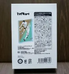 ハイキュー！！ アクリルブロック 及川徹 岩泉一 仙台観光特使就任記念