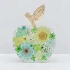 いちご 固まるハーバリウム オブジェ - メルカリ