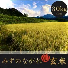 玄米 30kg コシヒカリ 群馬県産 米 お米 農家直送 産地直送 玄米 30kg コシヒカリ 群馬県産 米 お米 農家直送 産地直送 - メルカリ