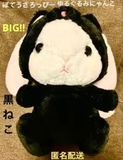 黒金剛 アリス様 リクエスト 2点 まとめ商品