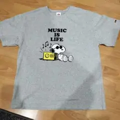 スヌーピーフルーツ・オブ・ザ・ルーム　Tシャツ　Lサイズ