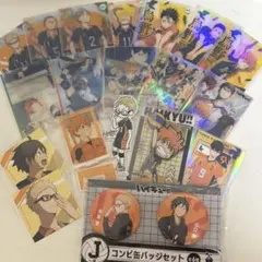 ハイキュー　烏野　グッズ19点セット