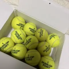 中古 ダンロップフォート テニスボール 11個