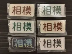 相模 アクリルキーホルダー 6種セット カプセルトイ