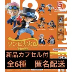2025年最新】ワンピの実 ローの人気アイテム - メルカリ