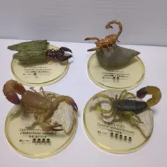 貴重　スコーピオン　カーリーテイル　新品5個 貴重 スコーピオン カーリーテイル 新品5個 貴重スコーピオン