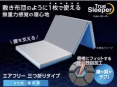 トゥルースイーパー　三つ折りタイプ　シングル　＆　ミニトゥルースイーパー　×２
