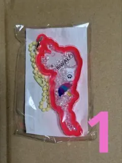 琵琶湖キーホルダー