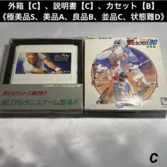 【並品】 ファミコン 燃えろ!! シリーズ2本セット
