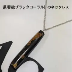 黒珊瑚】ハワイ黒珊瑚ネックレス THE CORAL KING DOM - メルカリ