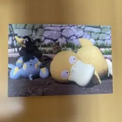 ギザみみピチューとラプラス A4 クリアファイル ポケモンセンター 日本
