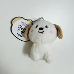 RIIZE アントン モンリョンイ バレンタイン MD キーリング 10cm