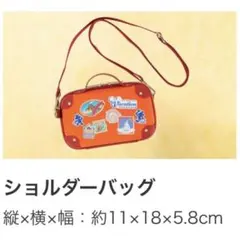 ディズニーバケーションパッケージ　オリジナルグッズ　ショルダーバッグ