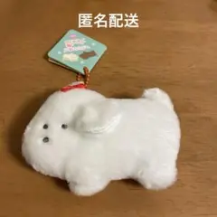 2026年最新】マルチーズぬいぐるみの人気アイテム - メルカリ