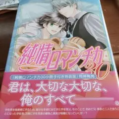 純情ロマンチカ 第30巻