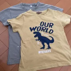 恐竜プリント Tシャツ 3枚セット