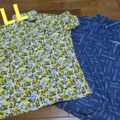 Item thumbnail for item 6c92c949-534f-465f-884e-d96106e87e27