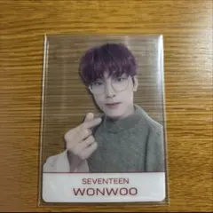 SEVENTEEN ウォヌ 24h HMV