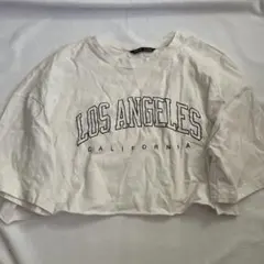 Item thumbnail for item f415fb1a-c7ed-4cf4-b807-07684e2ee653