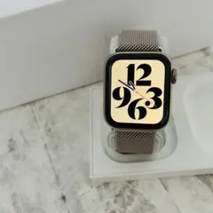 超レア✴︎Apple Watchシルバーチタニウム series5セルラー44mm - メルカリ
