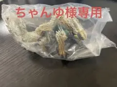 ジンオウガ ゲームキャラクター