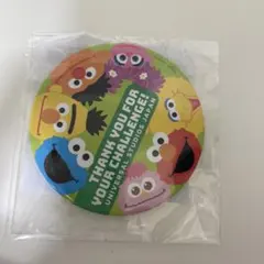 ユニバーサルスタジオジャパン　セサミストリート　缶バッジ