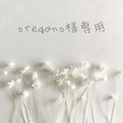 oregano様 リクエスト 2点 まとめ商品