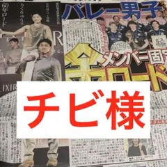 りくりゅう　スポーツ新聞5紙