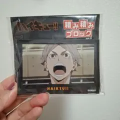 ハイキュー!! 積み積みブロック vol.3 菅原孝支 烏野