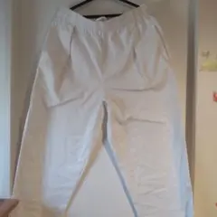 Item thumbnail for item 4eadb84e-d33e-4b86-92fd-8f50b8bb7e29