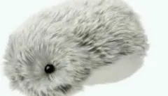 2025年最新】Moflinの人気アイテム - メルカリ