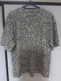 HOLLISTER ヒョウ柄 Tシャツ Mサイズ
