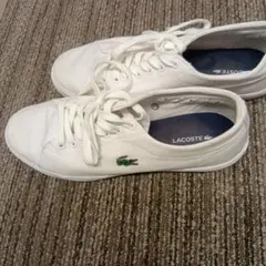 LACOSTE シンプル ホワイトスニーカー UK6