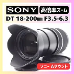 ✨頼れる高倍率ズーム✨Sony DT 18-200 ソニー✨おまけ多数✨