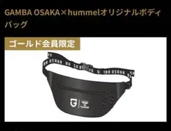 ガンバ大阪 応援グッズ