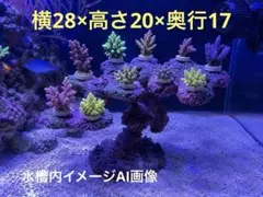 人工ライブロック SG07 10穴 擬岩/30cm水槽〜/海水水槽/サンゴ水槽