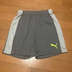 PUMA グレー ハーフパンツ