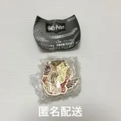 ハリーポッター　ダイキャストダブルチャームコレクション　クィディッチ　ガチャ