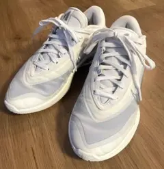 Nike (ナイキ)A'One EP バッシュ 24cm - メルカリ