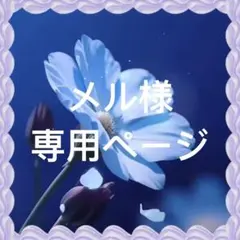 メル様 リクエスト 4点 まとめ商品