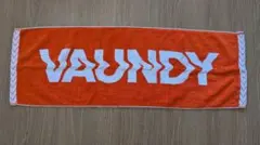 Vaundy ライブグッズ タオル　キーホルダー　ポスター　完売品　レア 2026年最新】Vaundyライブグッズの人気アイテム - メルカリ