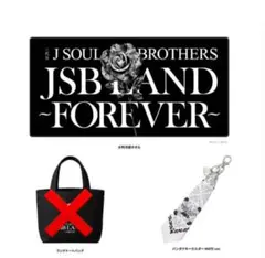 三代目 J SOUL BROTHERS JSB LAND アプグレグッズ - メルカリ
